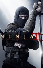 Ninja: Shadow of a Tear (2013 - English)